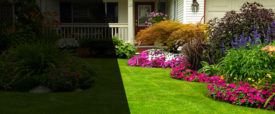 Silt Landscapers