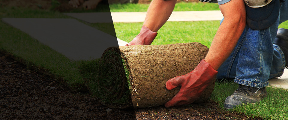 Silt Landscapers